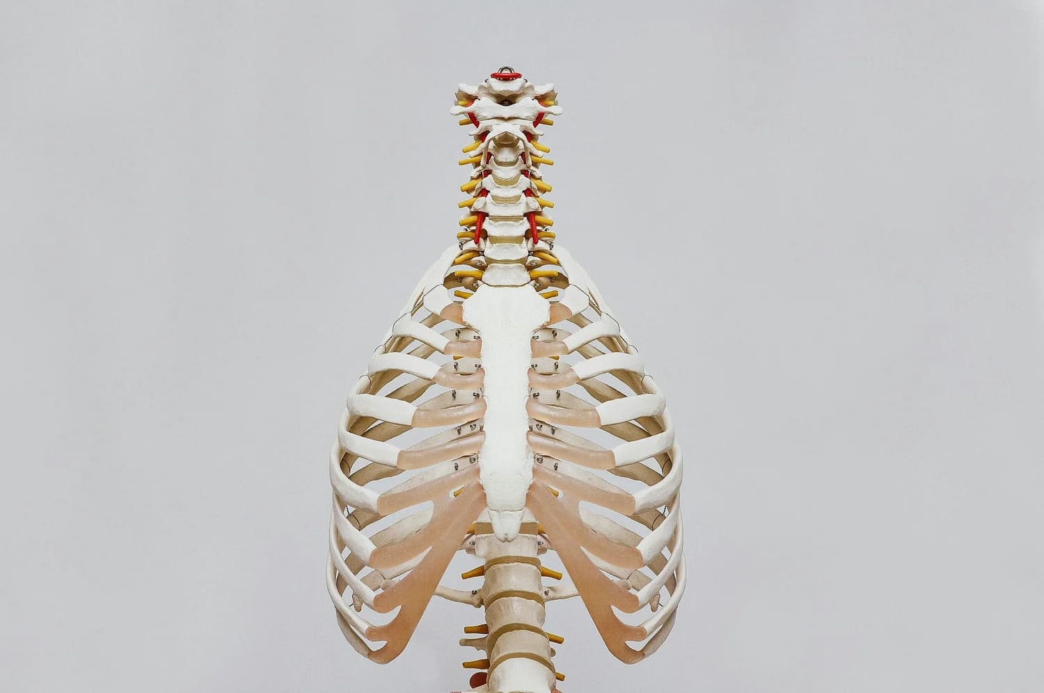 Hands placed on the lower ribs to feel and encourage diaphragmatic breathing